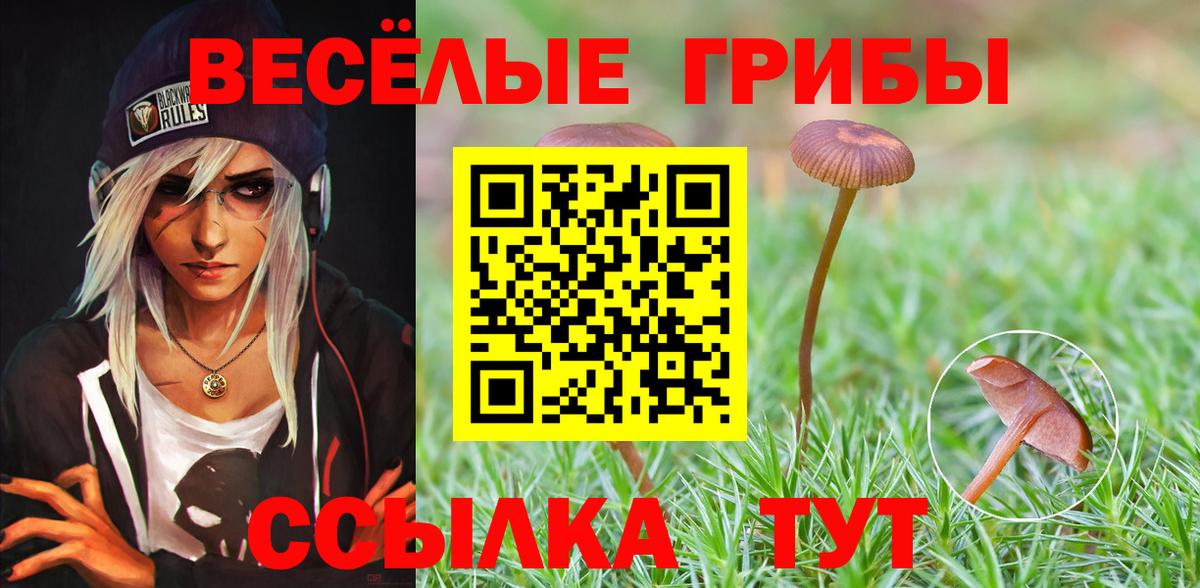 Галлюциногенные грибы мицелий Первоуральск