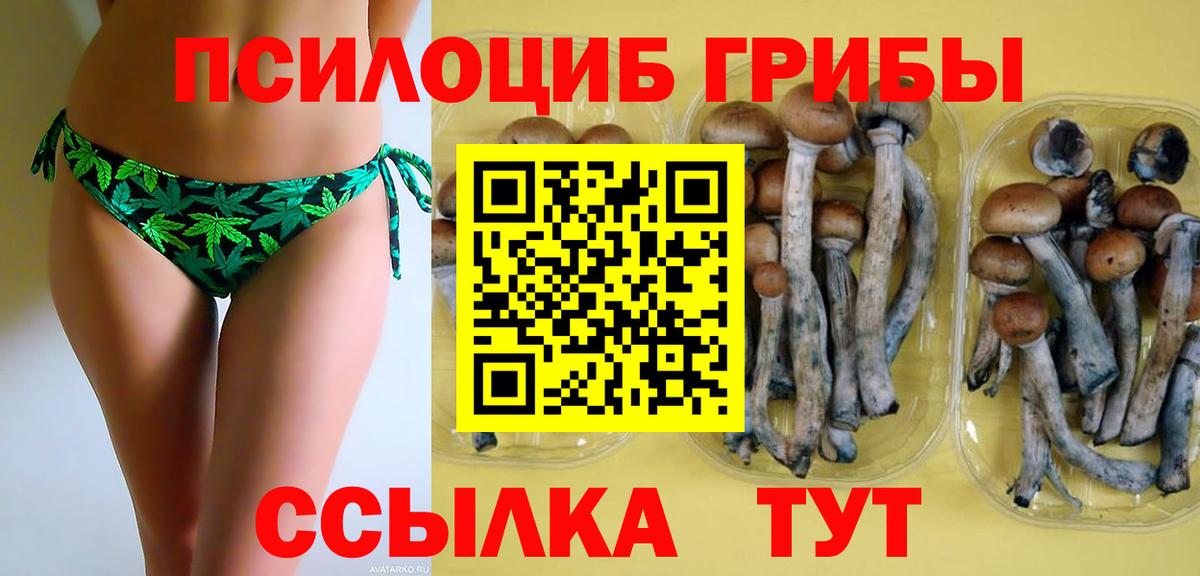 Первоуральск  Псилоцибиновые грибы Psilocybe  Вход с VPN 